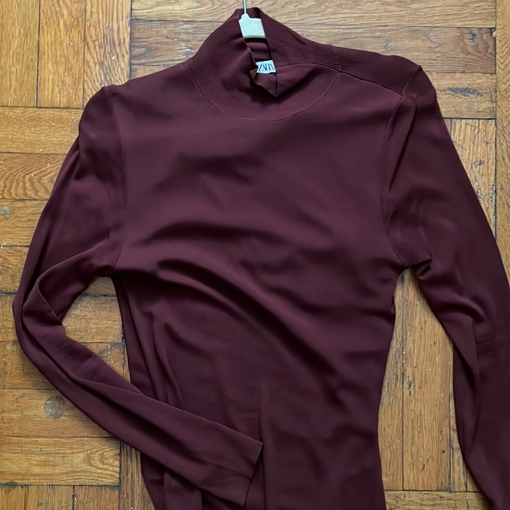 Zara maxi knit turtleneck dress